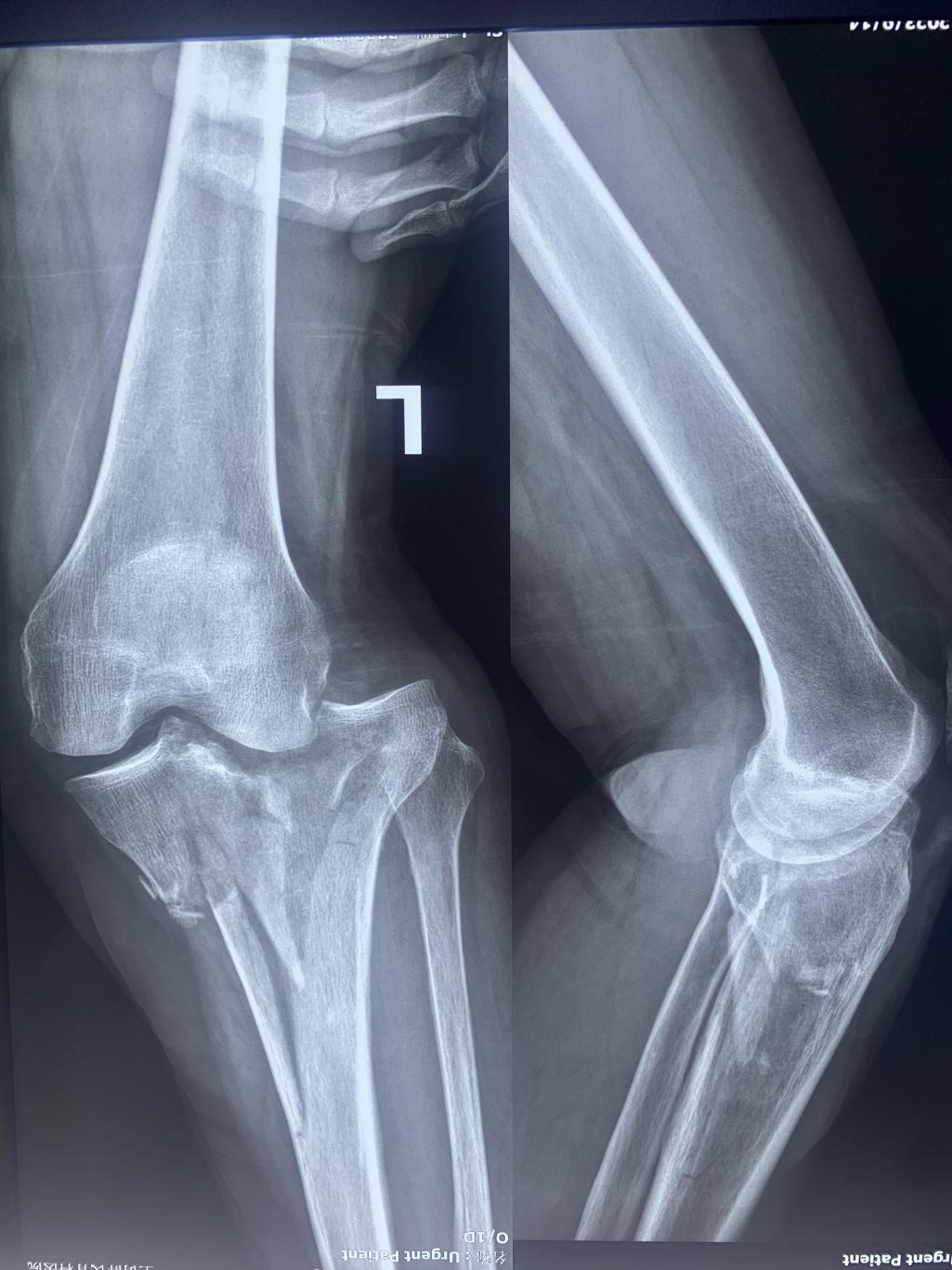 圖片關(guān)鍵詞