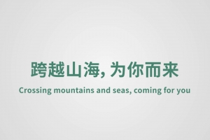 Crossing mountains and seas, coming for you