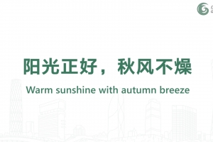Warm sunshine with autumn breeze