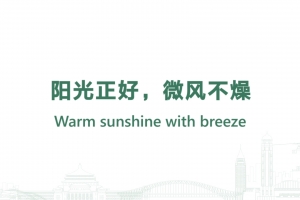 Warm sunshine with breeze