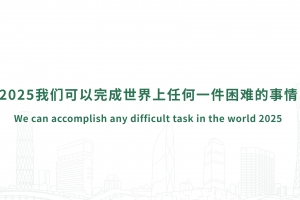 We can accomplish any difficult task in the world in 2025